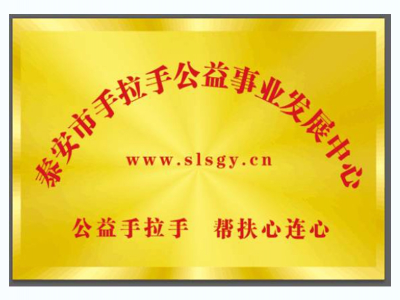 泰安市手拉手公益事业发展中心