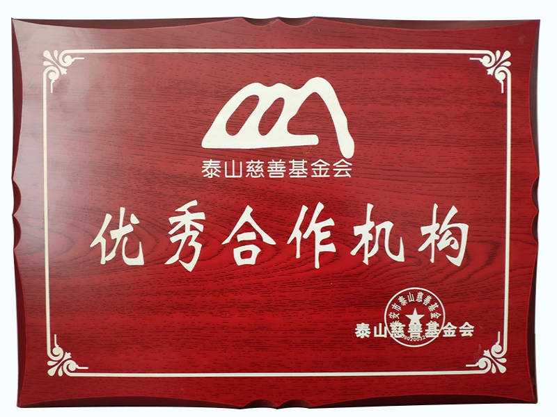 泰山慈善基金会优秀合作机构