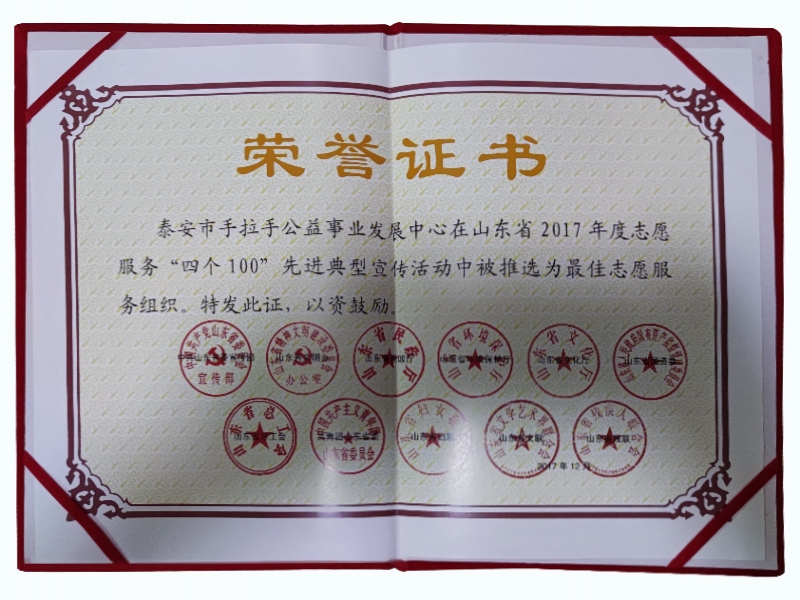 2017年度最佳志愿者组织证书
